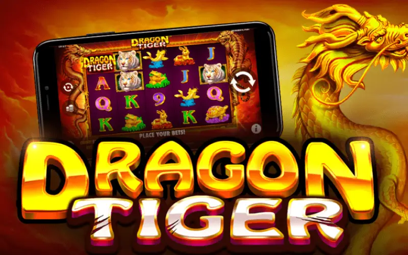 Bet on the highest card in this fast and straightforward classic on Dragon Tiger at Spinrise casino.