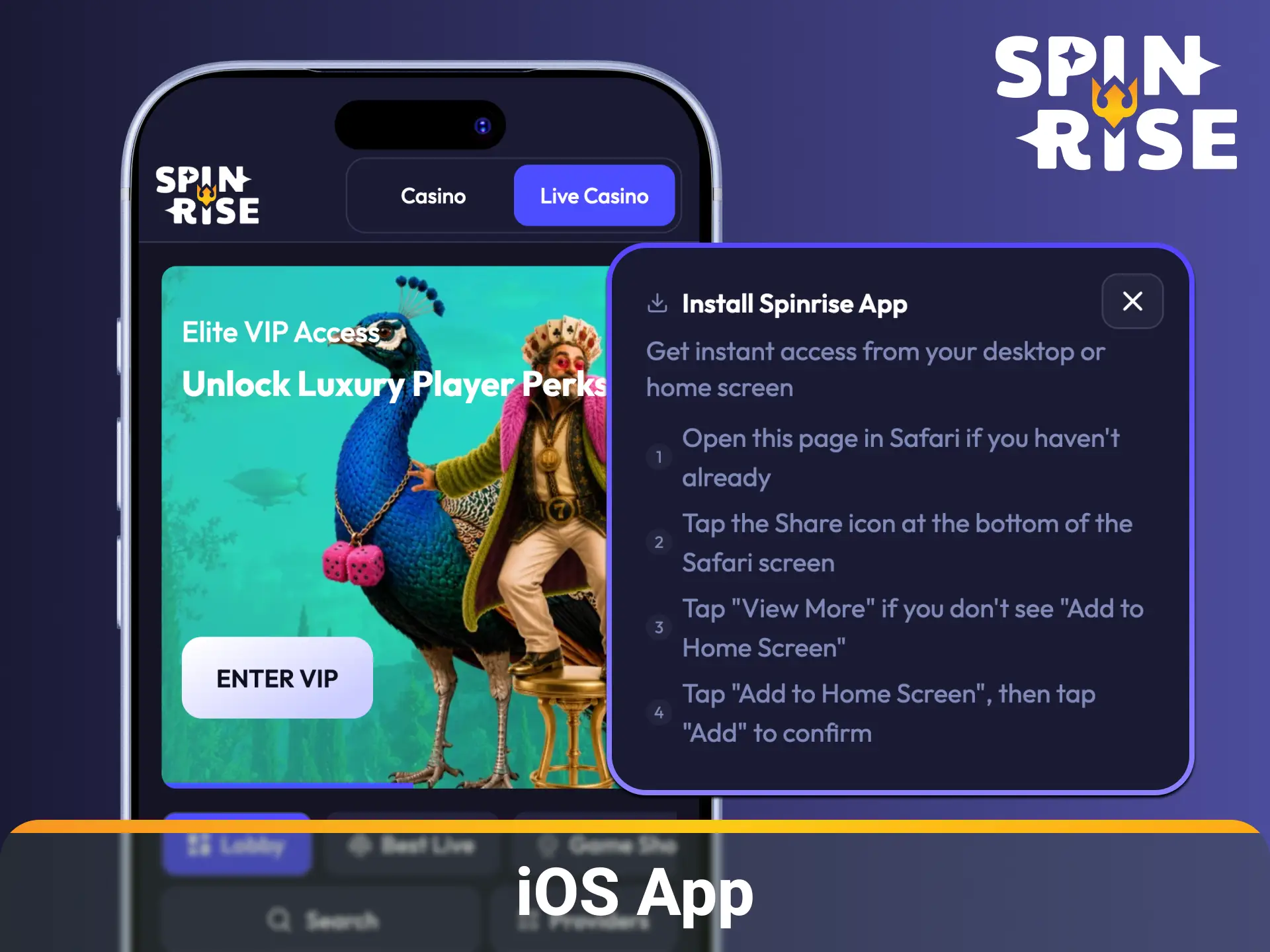 Install the Spinrise iOS App for fast and secure mobile access.