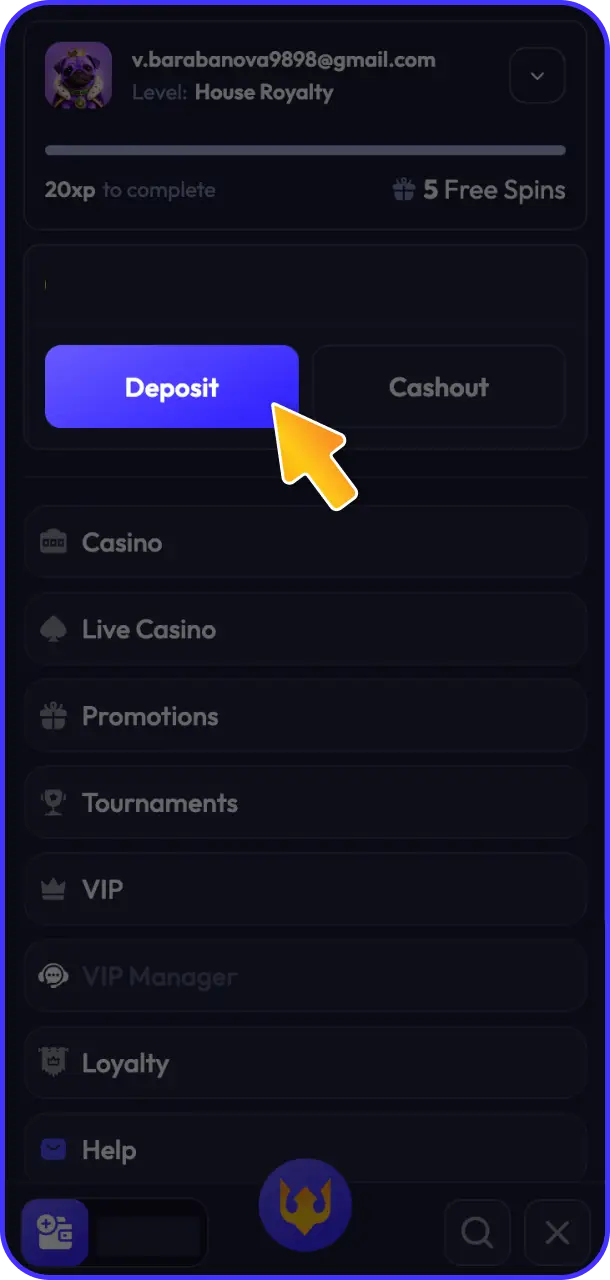 Go to the cashier section to manage your balance on Spinrise payment.