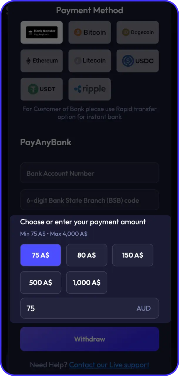 Enter the withdrawal amount you wish to transfer on Spinrise payment.