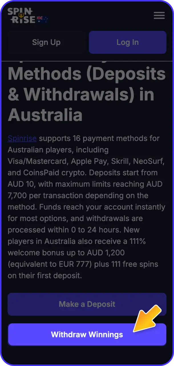 Log in to your account to start the cashout process on Spinrise payment.