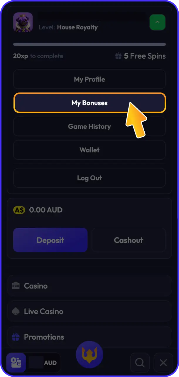 Activate your bonus to start playing top games with boosted funds on Spinrise bonus.
